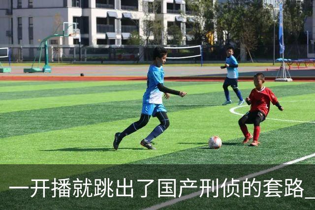 一开播就跳出了国产刑侦的套路 ，走进一场凶案现场 ，值得一看