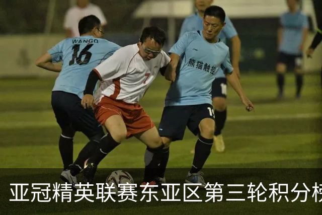 亚冠精英联赛东亚区第三轮积分榜：国安不败位列第五，海港第八