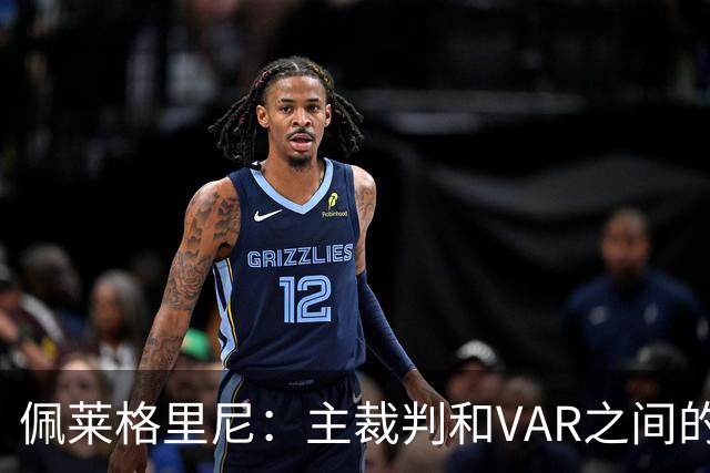 佩莱格里尼：主裁判和VAR之间的协作衔接，应该是需要改进的地方