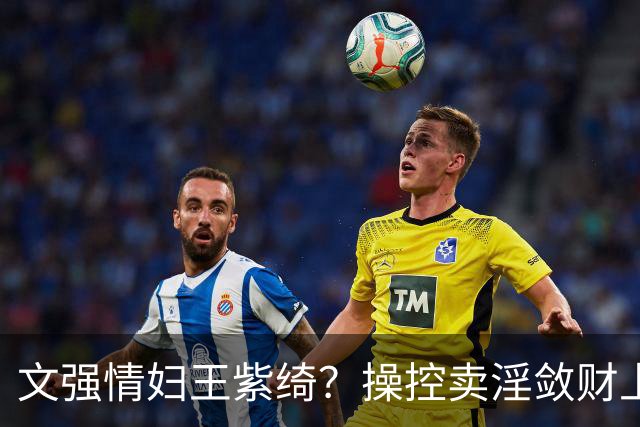 文强情妇王紫绮？操控卖淫敛财上亿，横行15年仅靠万九保护费