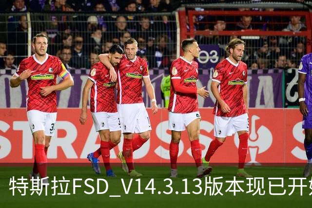 特斯拉FSD V14.3.13版本现已开始推送 用户可OTA升级