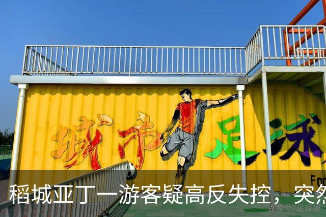 稻城亚丁一游客疑高反失控，突然快速冲下山坡，一头栽倒在灌木丛中，抱头痛苦大喊......工作人员：脑水肿的表现，已及时救治