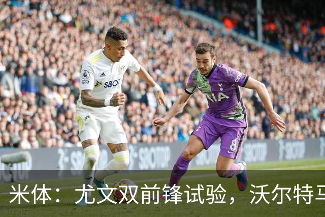 米体：尤文双前锋试验，沃尔特马德穆阿尼或战拉齐奥同首发