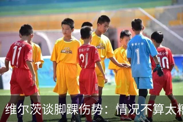 维尔茨谈脚踝伤势：情况不算太糟糕 不会在意外界对我的批评