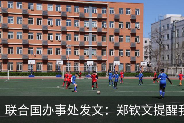 联合国办事处发文：郑钦文提醒我们，挫折并不是故事的终点