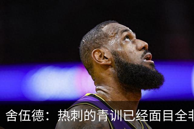 舍伍德：热刺的青训已经面目全非，他们辜负了年轻球员