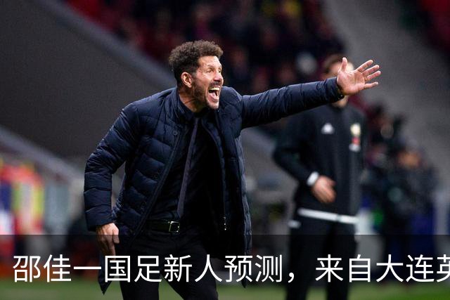 邵佳一国足新人预测，来自大连英博的他有望入选，值得期待