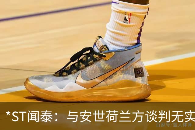 *ST闻泰：与安世荷兰方谈判无实质进展 股票存在终止上市风险