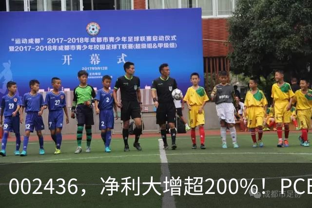002436，净利大增超200%！PCB，业绩集体爆发