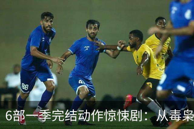 6部一季完结动作惊悚剧：从毒枭运货到卧底复仇，一晚刷完
