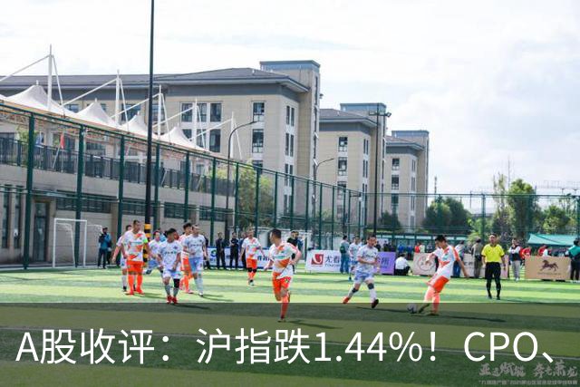 A股收评：沪指跌1.44%！CPO、传媒股集体跳水，白酒逆势飘红